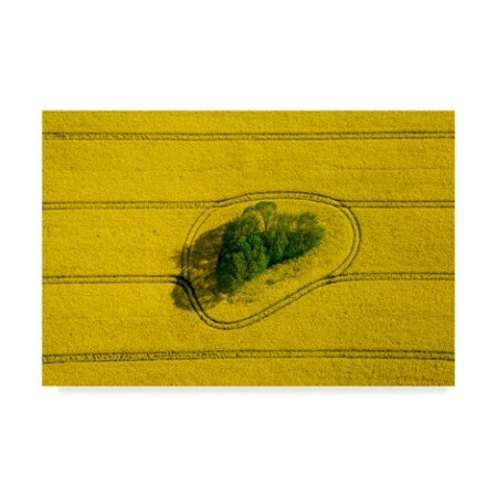 Trademark Fine Art Holger Schmidtke 'Island In The Field' Canvas Art, 22x32 1X07234-C2232GG